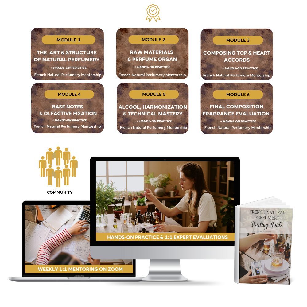 French Natural Perfumery Mentorship